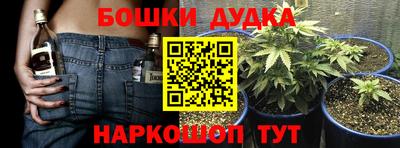 PSILOCYBIN Кулебаки