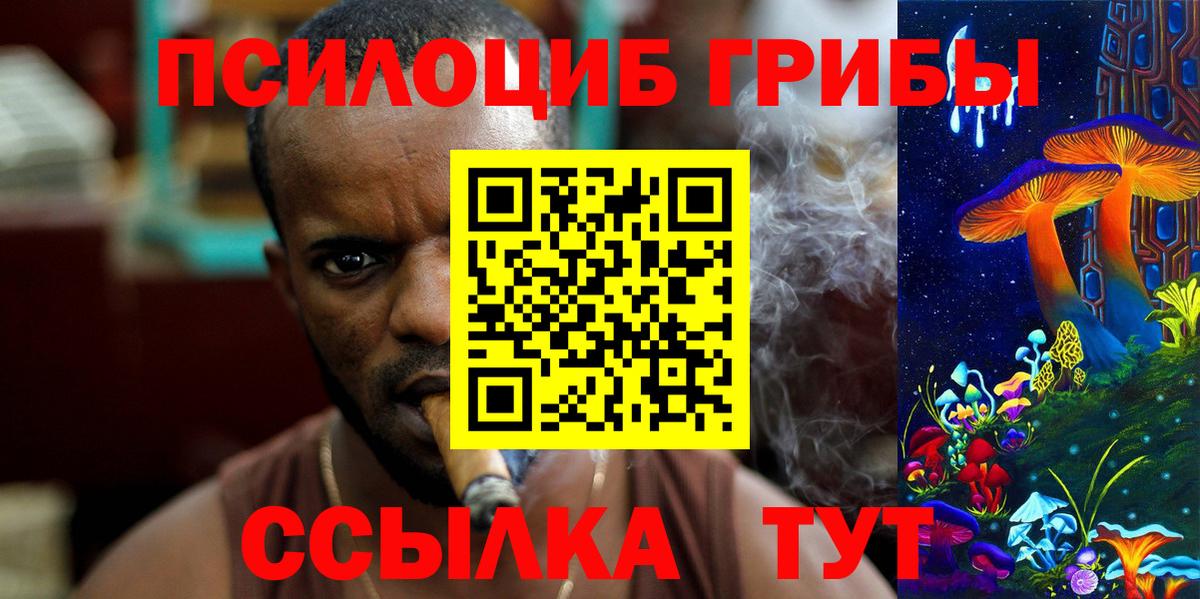 продажа наркотиков  Вход с VPN  Камень-на-Оби  Галлюциногенные грибы Magic Shrooms 